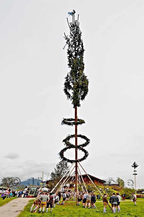 Raising the Maypole in Berchtesgaden - Jrg Nitzsche Hamburg Germany